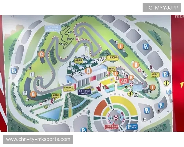 观赛指南：如何高效观看并理解专业比赛战术要点，最全观赛指南